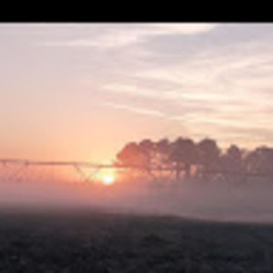 Meet your Posher, Horse